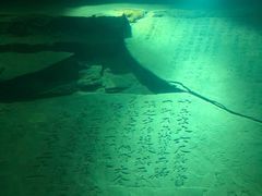 -白鹤梁水下博物馆