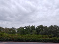 -深圳湾公园(南山区)