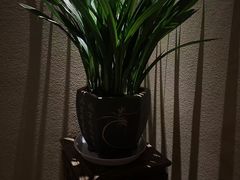 -足本纪·足道 SPA 简餐 小吃(文三西路店)