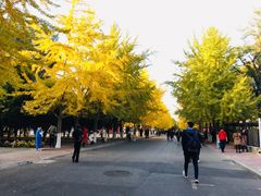 -辽宁大学(崇山校区)