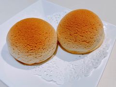 雪顶雄峰-利苑酒家(金宝店)