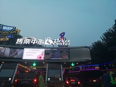 -枫花园汽车电影院(朝阳公园店)