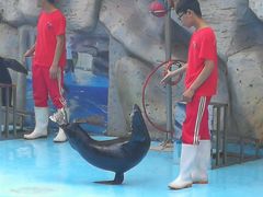 -泉州海丝野生动物世界