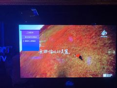 -温莎KTV(珠江路店)