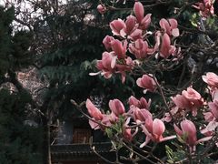 -西安市广仁寺