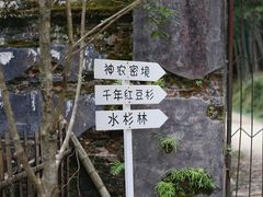 -炎陵县神农谷国家森林公园