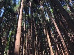 -山王坪喀斯特国家生态公园