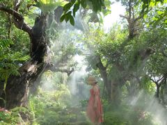 -Chom Cafe and Restaurant