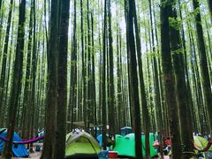 -山王坪喀斯特国家生态公园