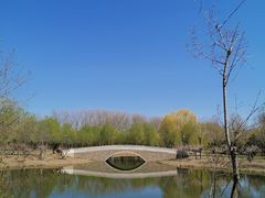 -东郊湿地公园