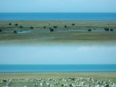 -青海湖国家重点风景名胜区