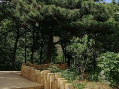 -北京西山国家森林公园