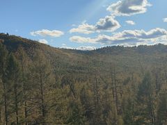 -莫尔道嘎国家森林公园