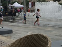 -西点坊(浦东香格里拉店)