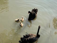 -西山漾湿地公园