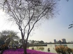 -顺峰山公园