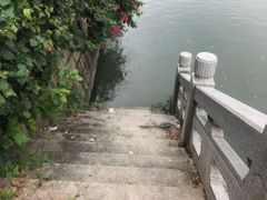 -光明港公园