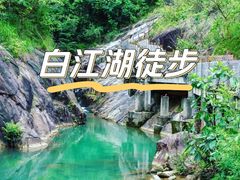 -广州白江湖森林公园