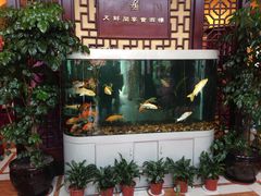 -天鲜阁·海鲜粤菜·33年老字号(石槎白云站店)