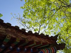 -秦岭终南山世界地质公园翠华山景区