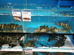 水产区-盒马鲜生(曜一城店)