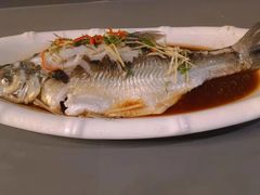 -醉美东江·三文鱼·烧鸡公