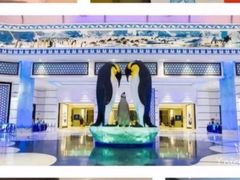 -帝企鹅自助餐厅•儿童岛•真企鹅(长隆企鹅酒店)