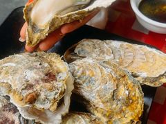 -大富蚝乌东哥饭店·石锅鱼杂·柠檬鸭(革新路店)