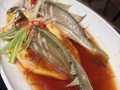 油泼黄花鱼-前海沿·海鲜水饺青岛菜(乐客城店)