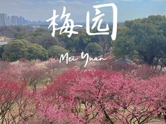 -无锡梅园公园
