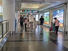 -厦门高崎国际机场-T3航站楼