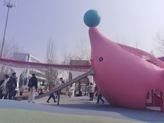 -张店儿童公园