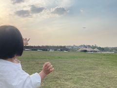 -空港花田景区