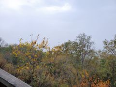 -帽儿山国家森林公园