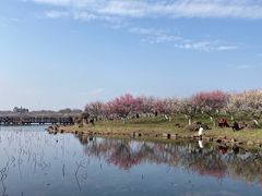 -上海海湾国家森林公园