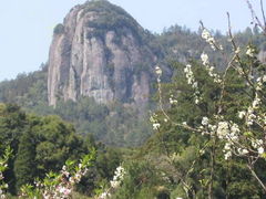 景点-旗山国家森林公园