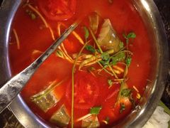 酸汤鱼-芦苇荡·酸汤鱼(回龙观店)