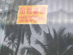 -东郊椰林