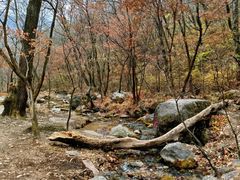 -玉渡山自然风景区