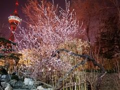 -中国人民解放军空军特色医学中心(空军总医院)