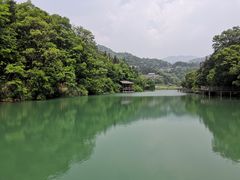-洪崖丹井