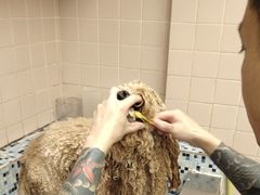 -FAELING PETS美天灵宠物(富力广场店)
