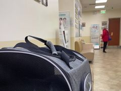 -美联众合动物医院·24h转诊中心