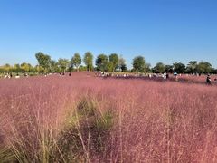 -汉长安城未央宫国家考古遗址公园