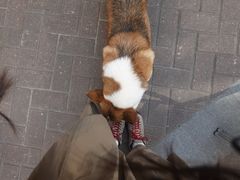-茶米人花园餐厅