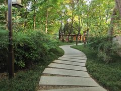 -木塔寺遗址生态公园