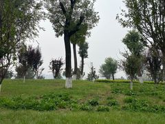 -汉长安城未央宫国家考古遗址公园