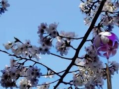 -堤角公园
