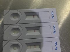 -成都民大动物医院