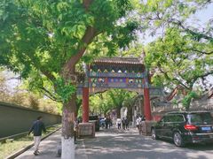 -北京国子监胡同